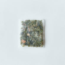 画像をギャラリービューアに読み込む, 人類茶